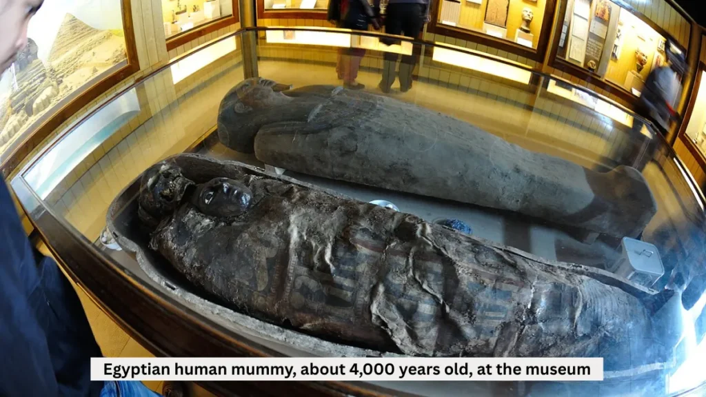 Indian Museum