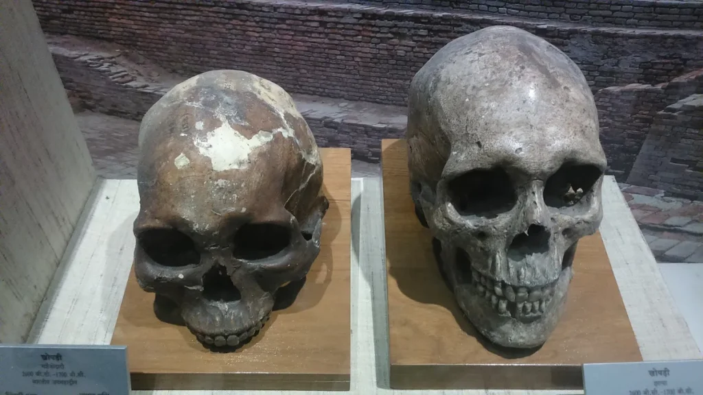 Indian Museum