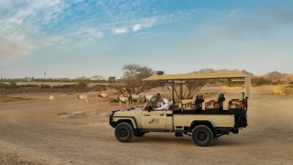 Al Ain Zoo Timings and Tickets