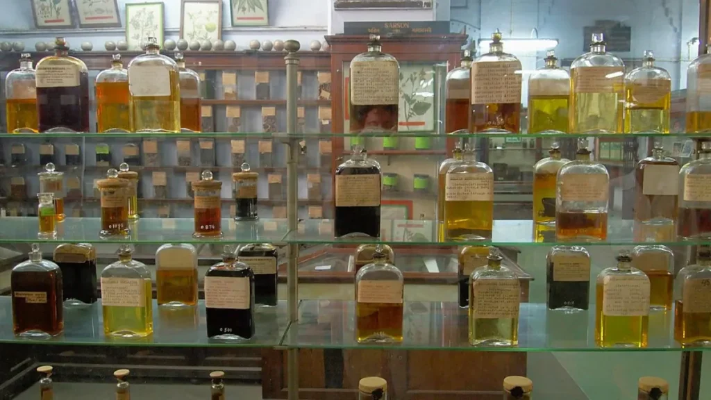 Indian Museum Ticket Price