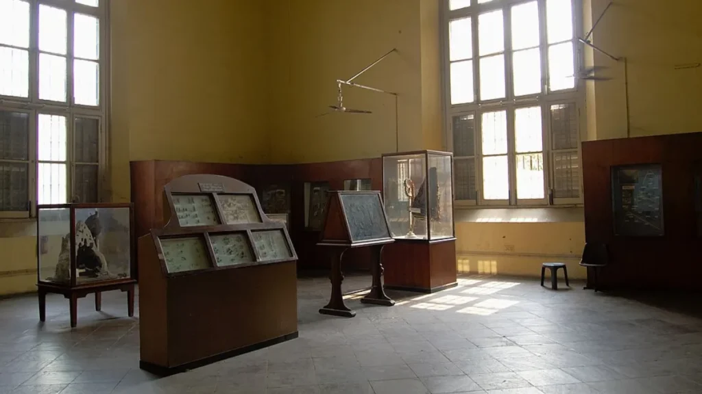 Indian Museum Ticket Price
