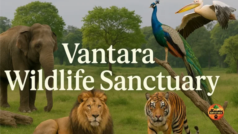 Vantara Wildlife Sanctuary