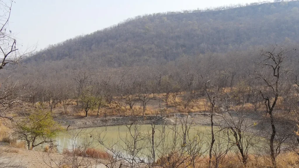 Panna National Park