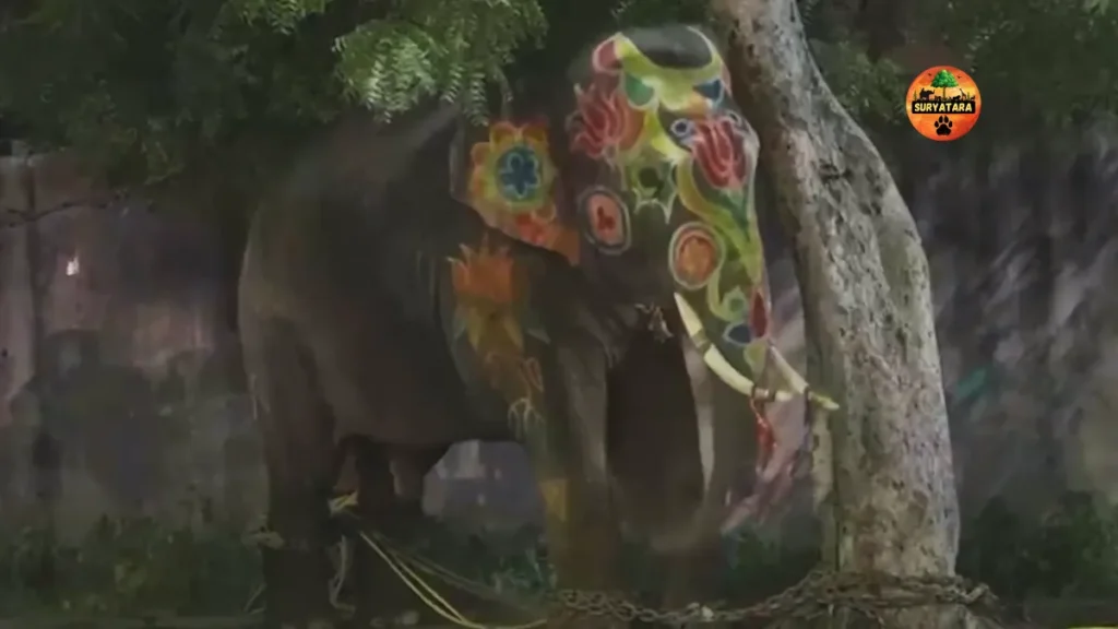 Vantara Rescued the Elephant During Rath Yatra