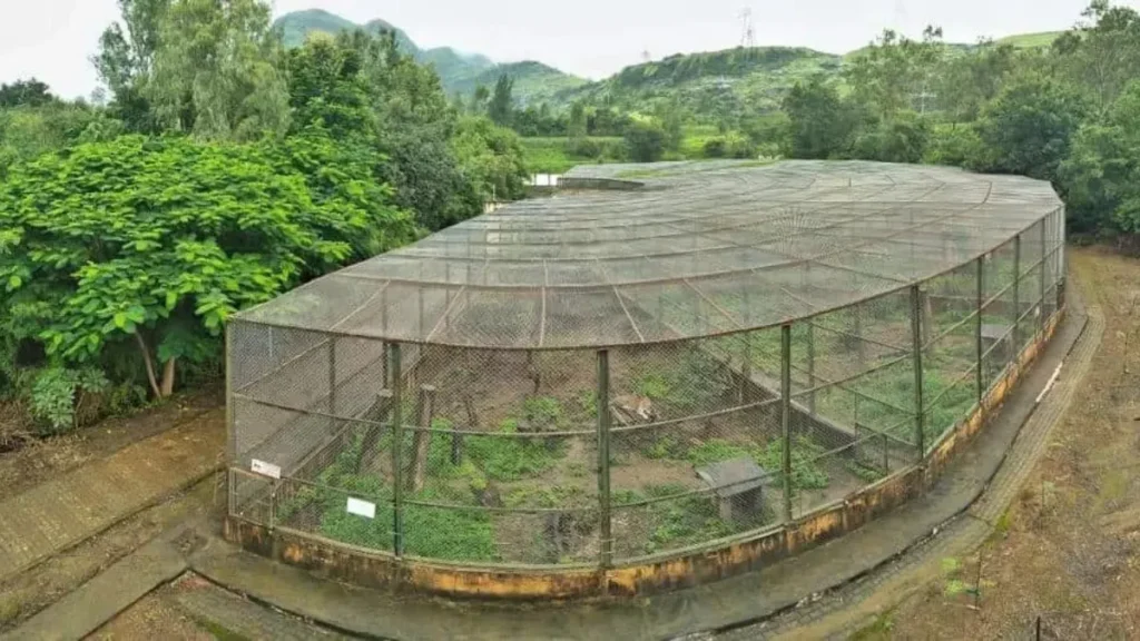 Manikdoh Leopard Rescue Centre