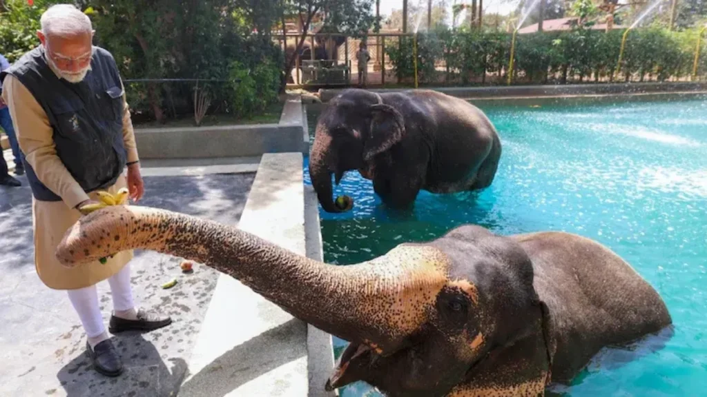 Is Vantara Zoo Open to the Public
