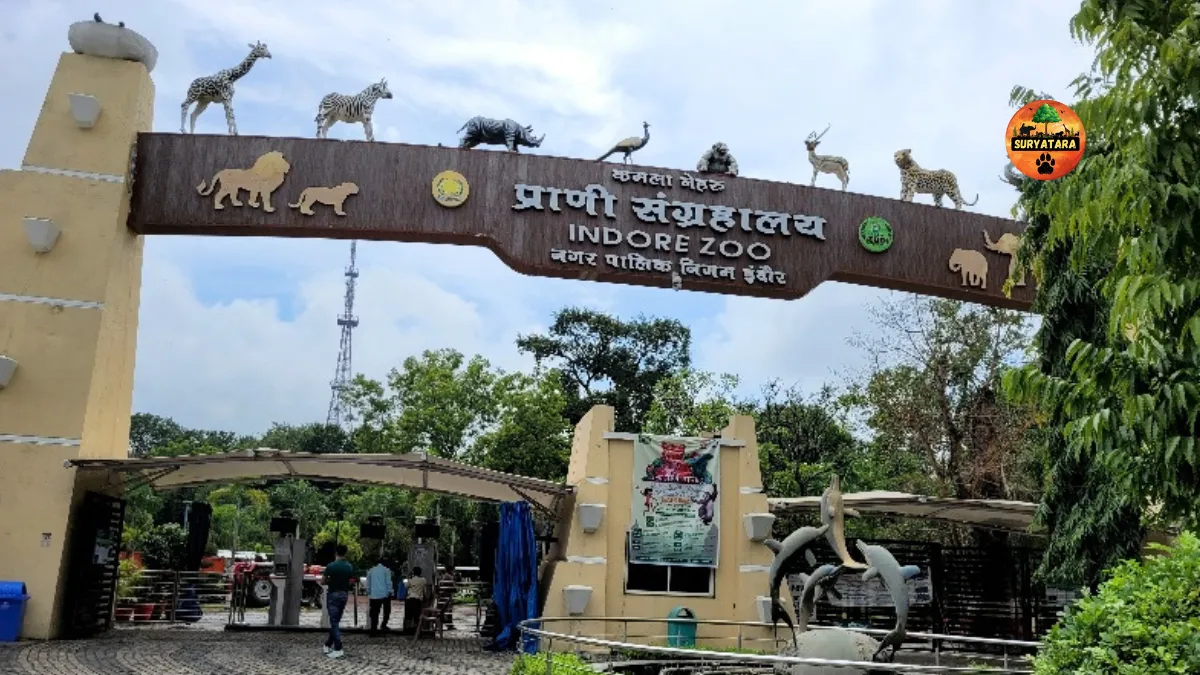 Indore zoo ticket price online booking