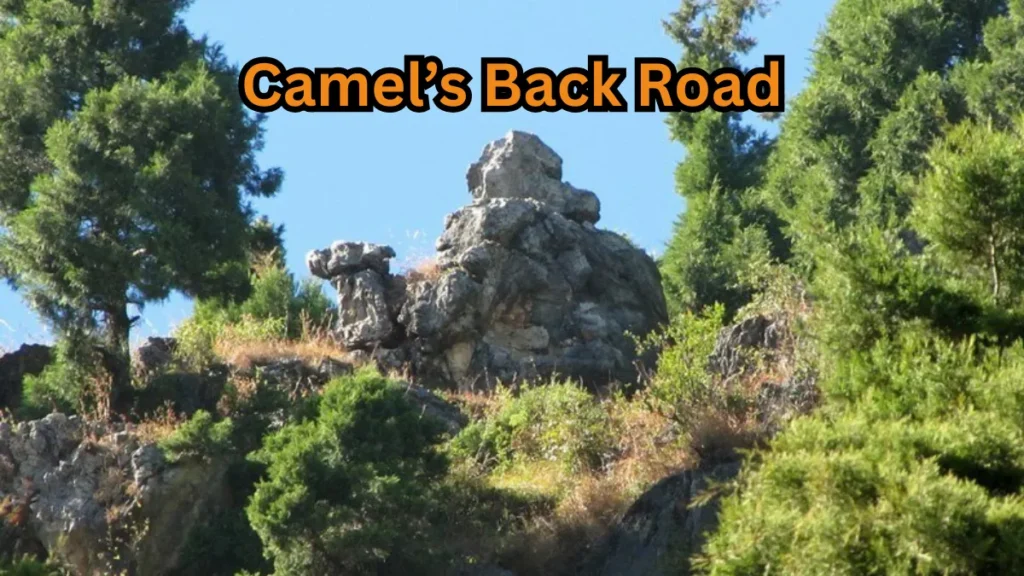 Camel’s Back Road
