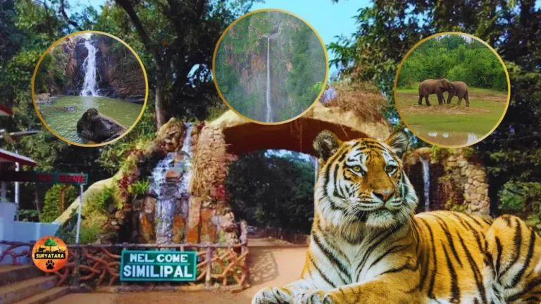 Simlipal National Park Kahan Hai