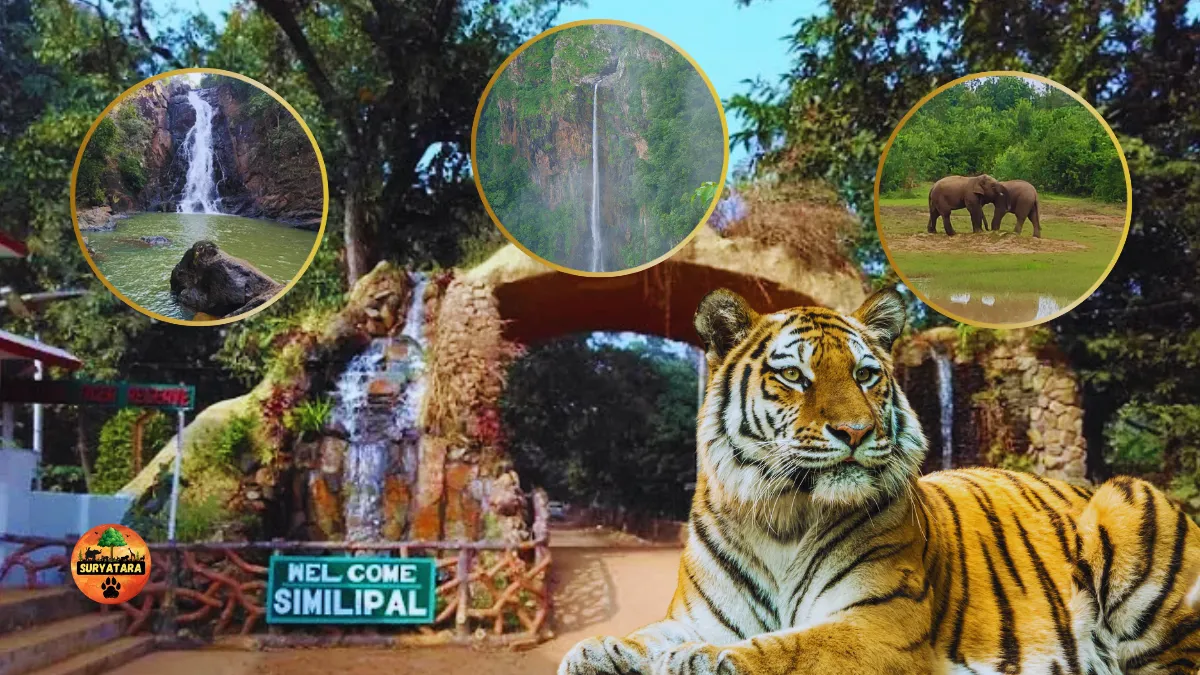 Simlipal National Park Kahan Hai