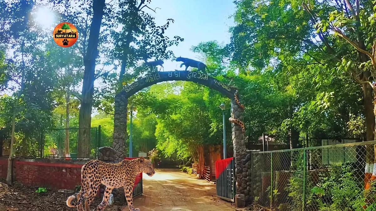 Mahal Eco Tourism Campsite