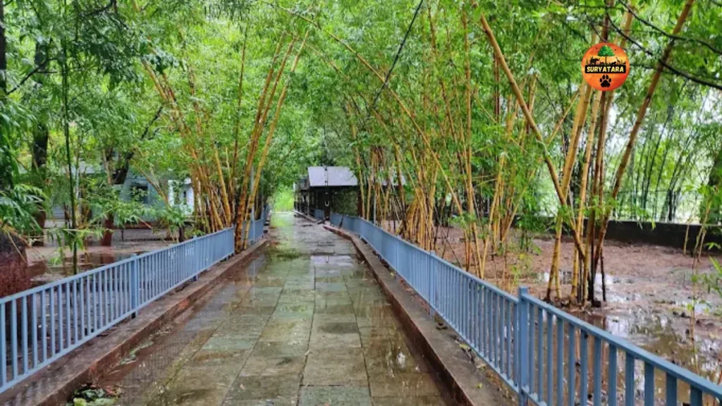 Mahal Eco Tourism Campsite