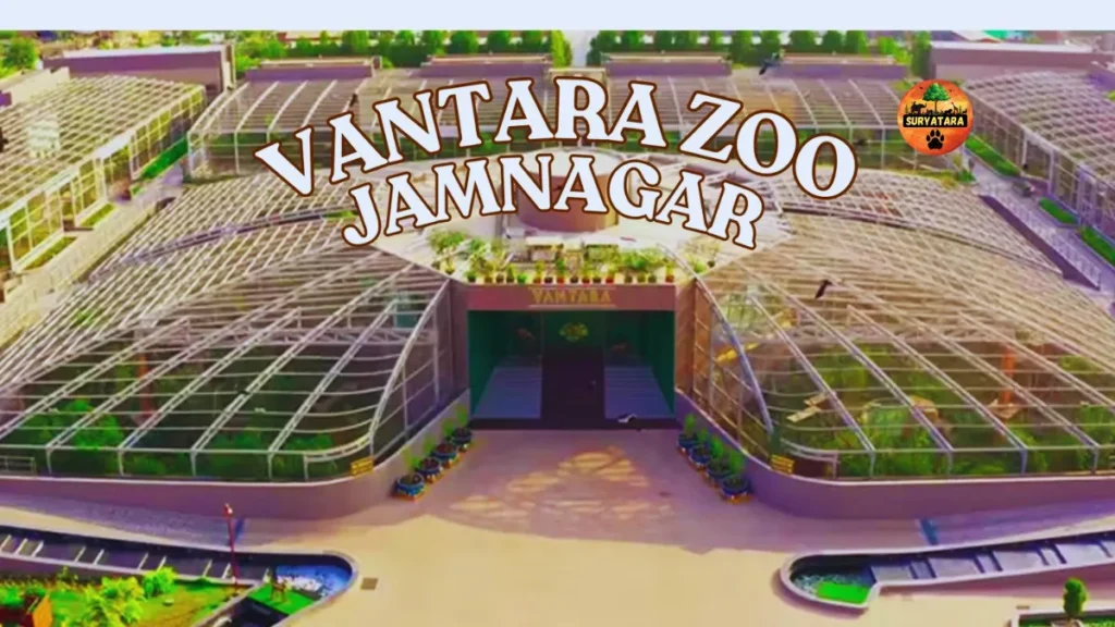 Is Vantara Zoo Open to the Public