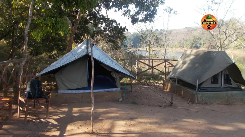 Jungle Camping At Dharoi Adventure Fest