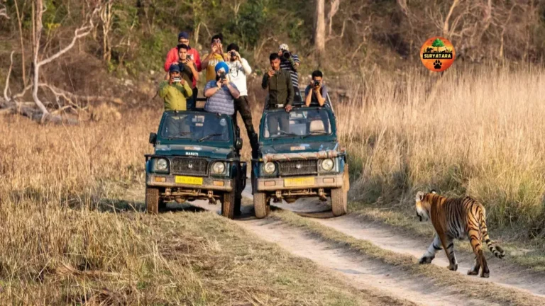 Jim Corbett Safari Online Ticket Booking