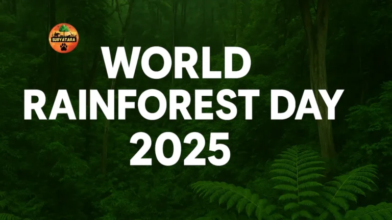 World Rainforest Day 2025