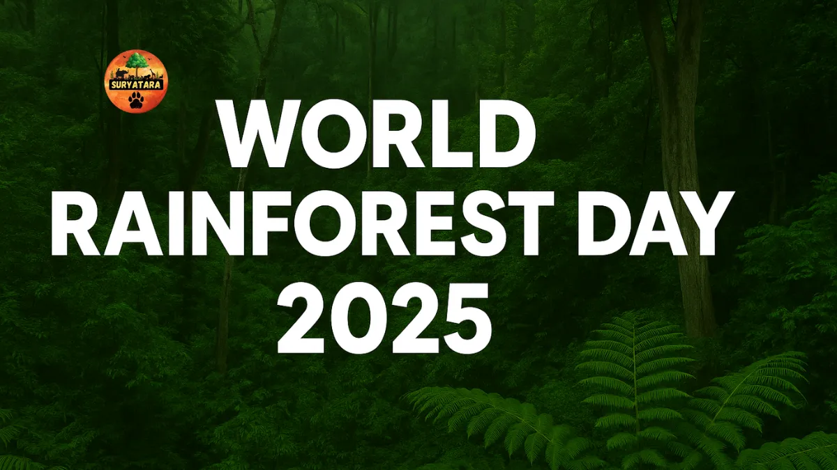 World Rainforest Day 2025