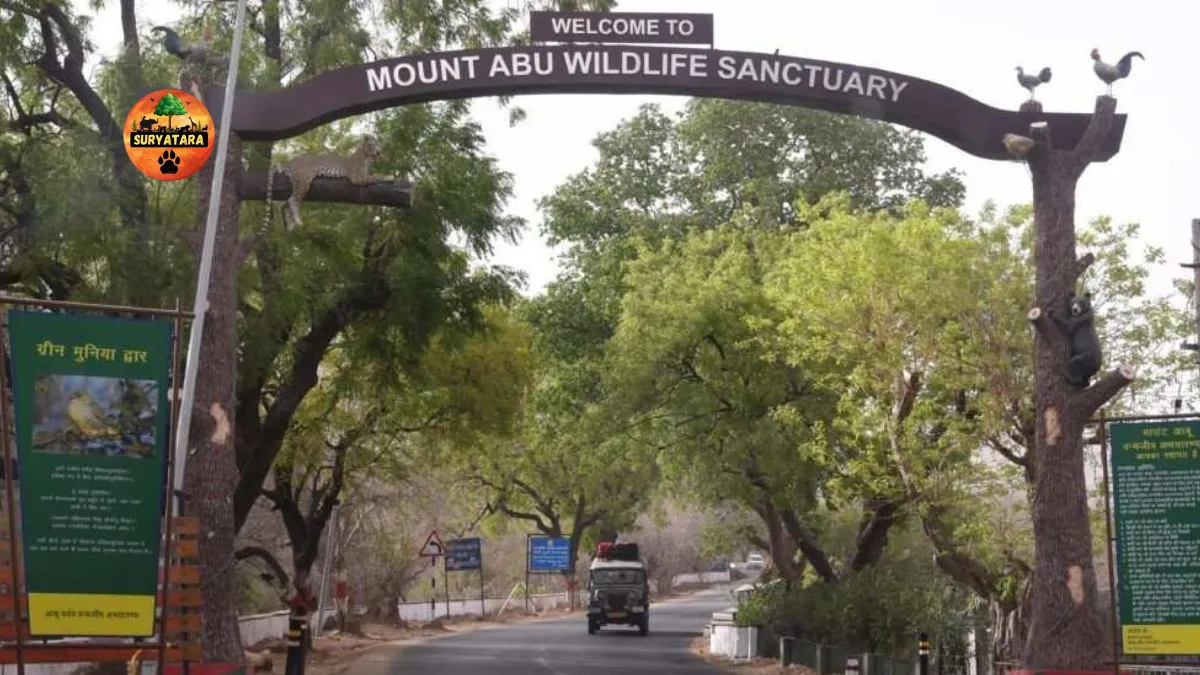 Mount Abu Wildlife Sanctuary