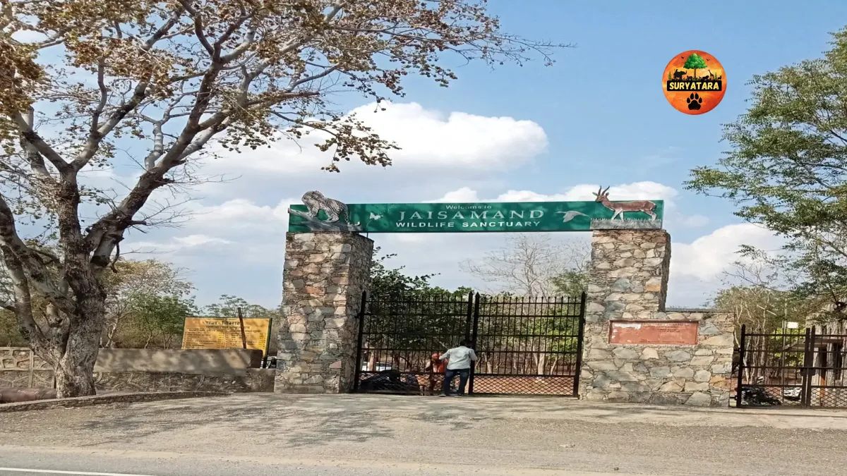 Jaisamand Wildlife Sanctuary