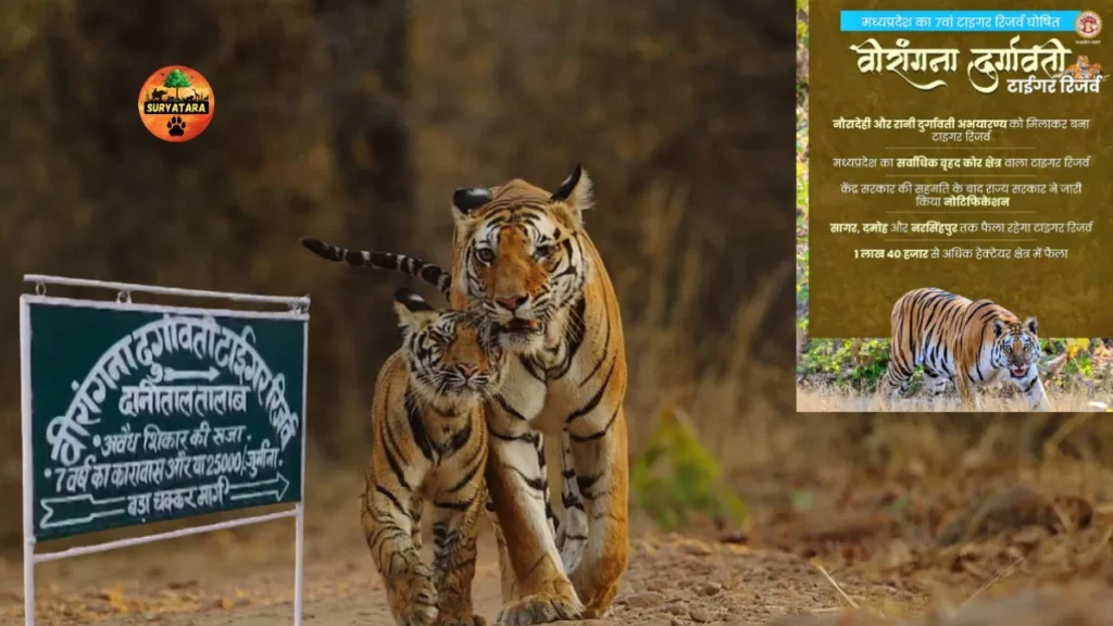 Veerangana Durgavati Tiger Reserve