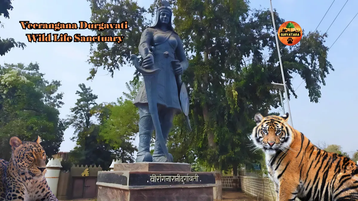 Veerangana Durgavati Wild Life Sanctuary