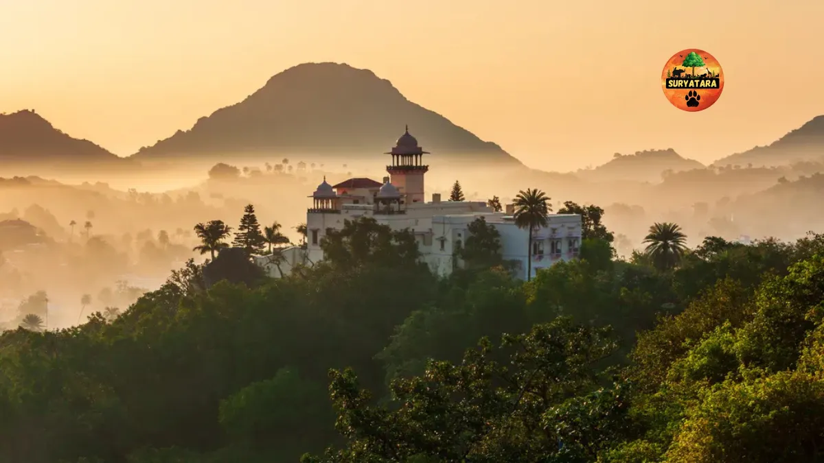 Top 5 Places to Visit in Mount Abu