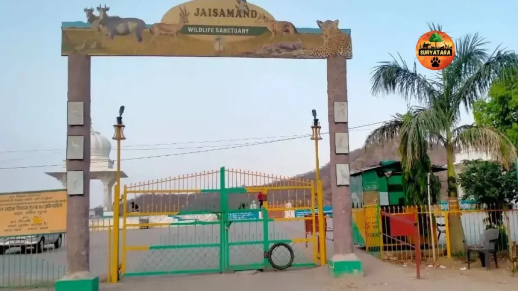 Mount Abu Wildlife Sanctuary
