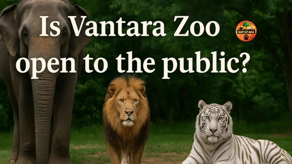 Is Vantara Zoo Open to the Public