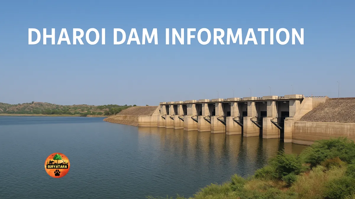 Dharoi Dam Information