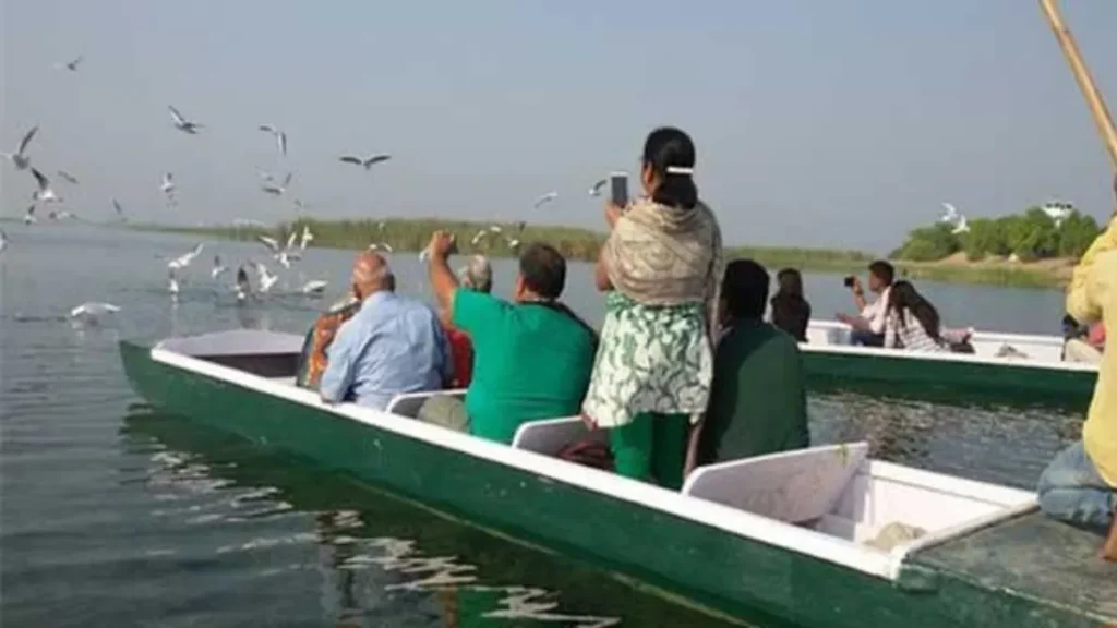 Nal Sarovar Bird Sanctuary