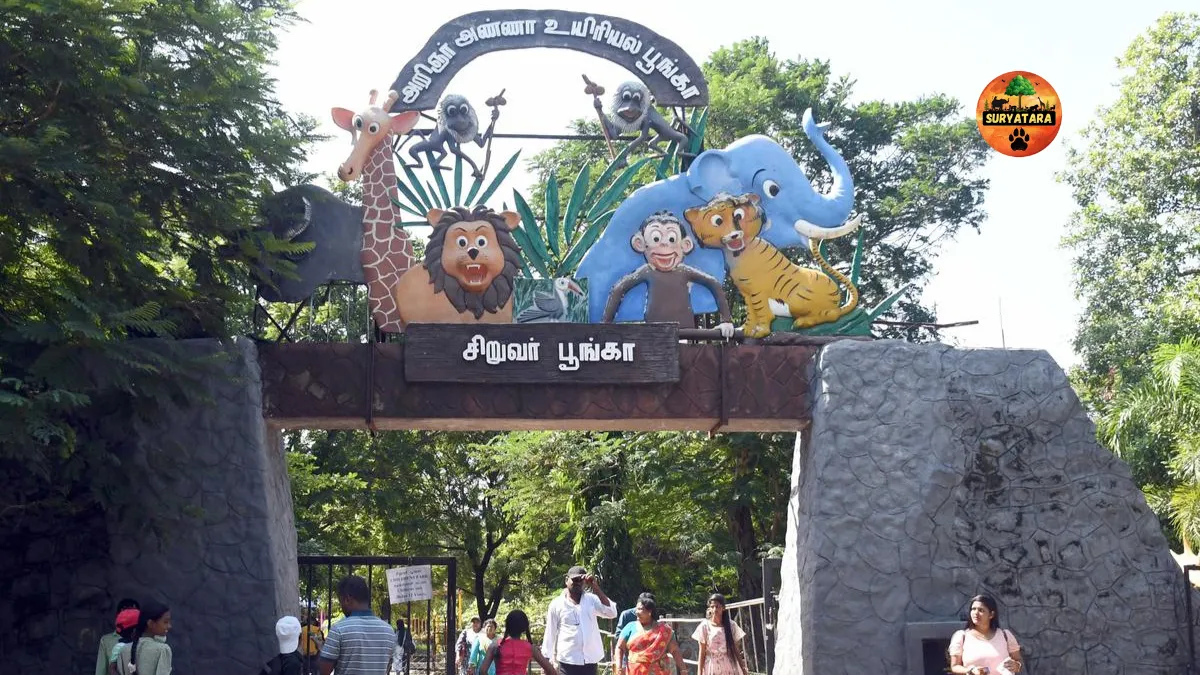 Arignar Anna Zoological Park