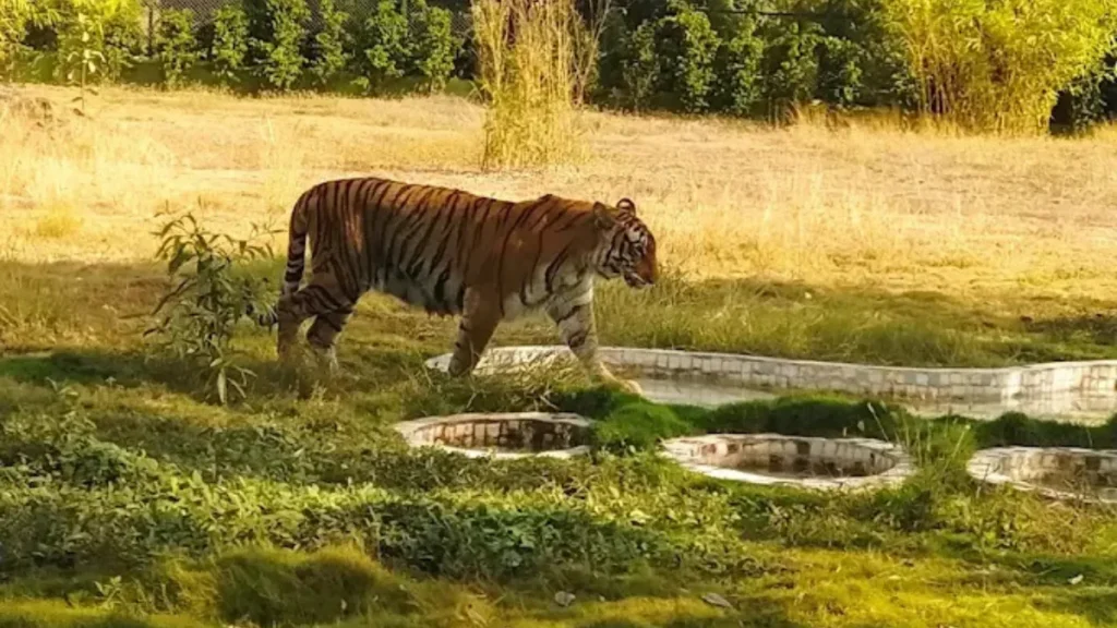 Sardar Patel Zoological Park