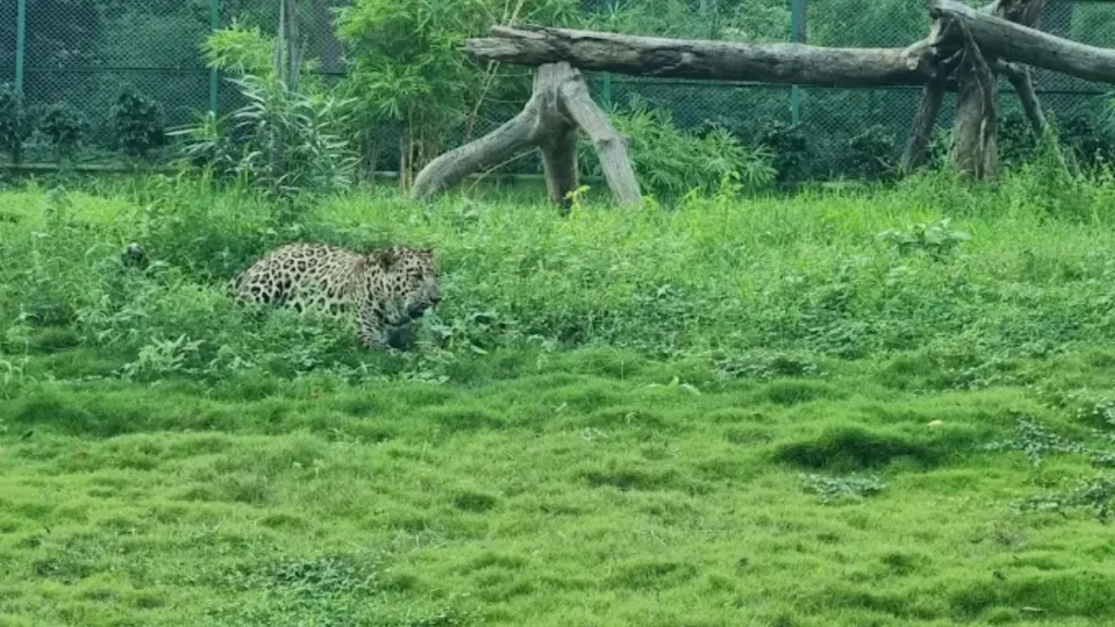 Sardar Patel Zoological Park