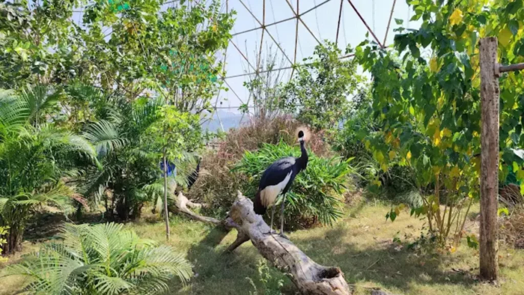 Sardar Patel Zoological Park
