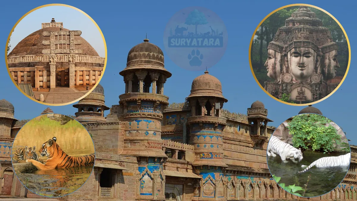 MP Tourism