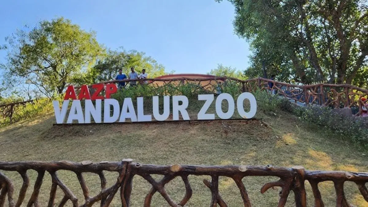 Arignar Anna Zoological Park Timings