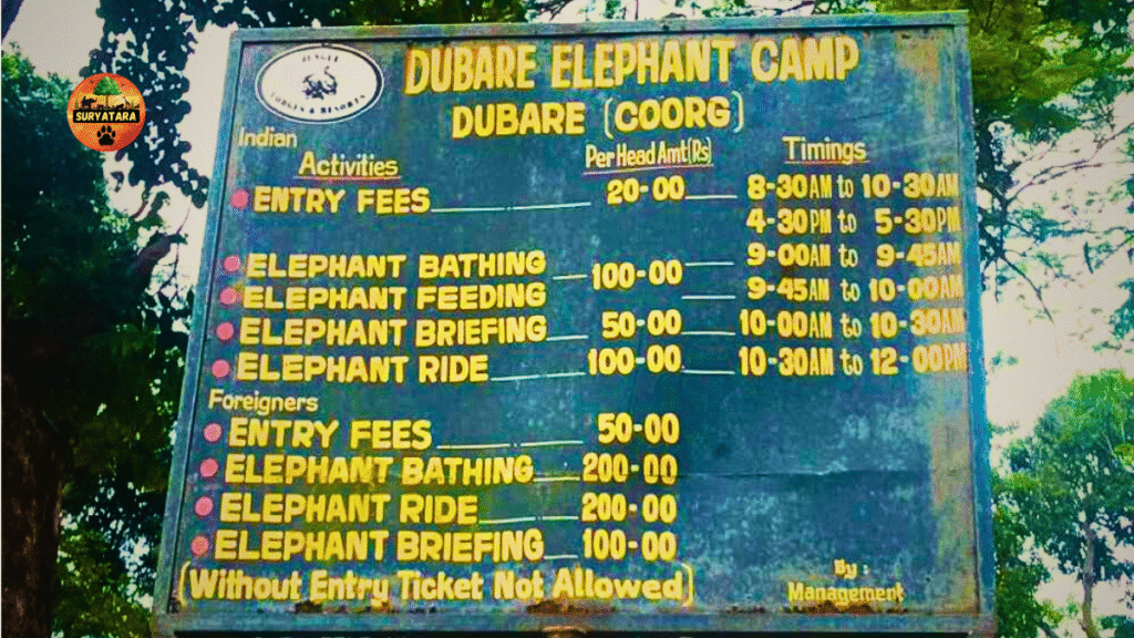 Dubare Elephant Camp Timings and Entry Fee