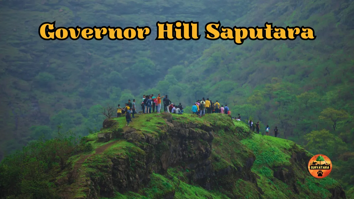 Governor Hill Saputara