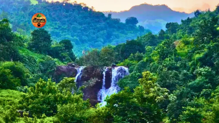 Walheri Soul Waterfall Maharashtra
