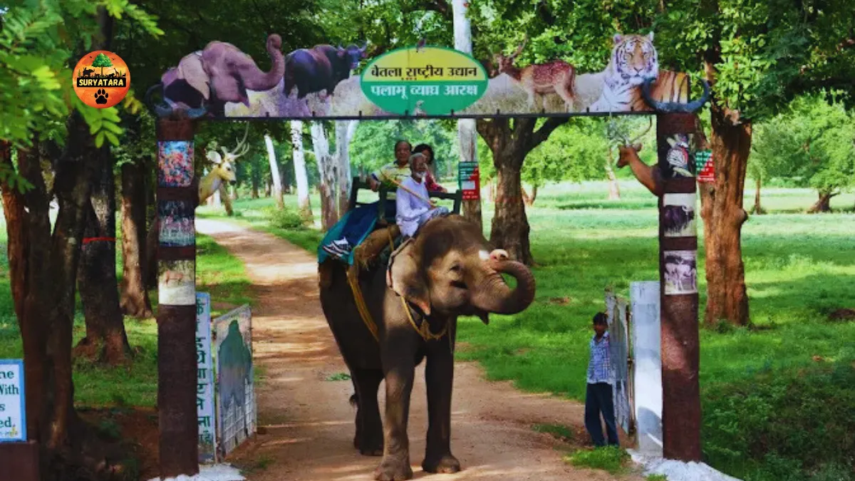 Betla National Park