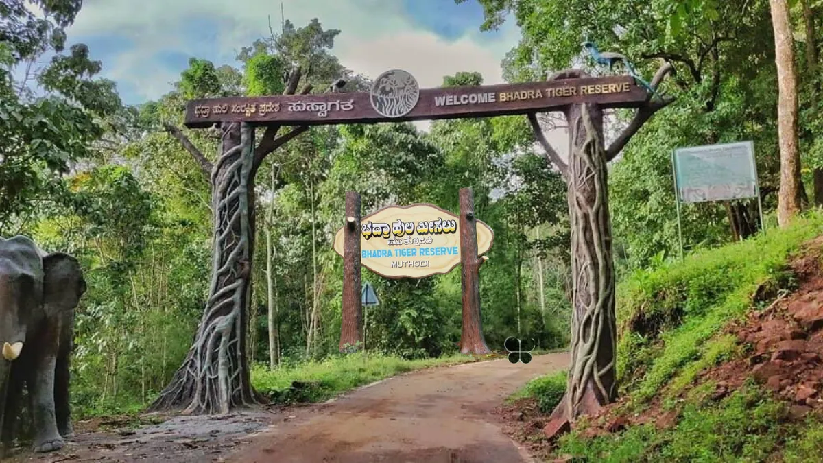 Bhadra wildlife sanctuary
