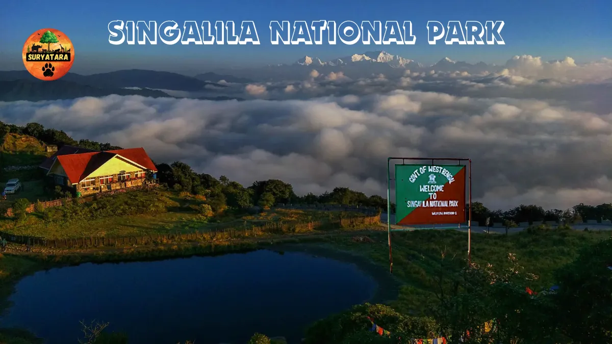 Singalila National Park