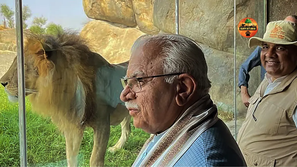 Jungle Safari in Aravalli Hills
