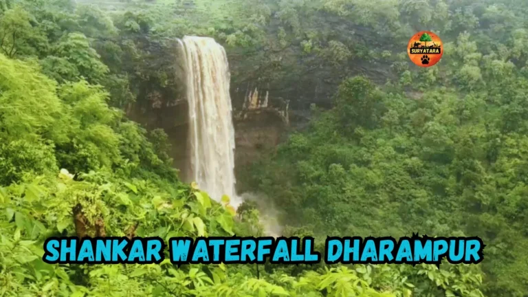 Shankar Waterfall Dharampur
