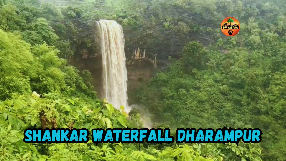 Shankar Waterfall Dharampur