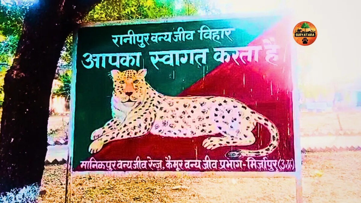 Ranipur Wildlife Sanctuary