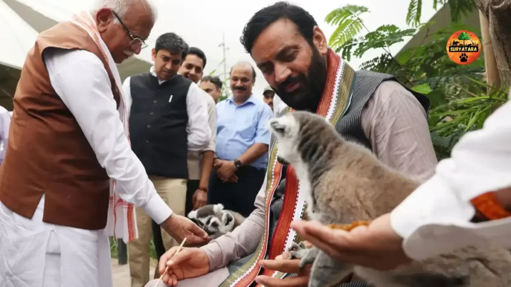 World's largest jungle safari park to be built in Haryana