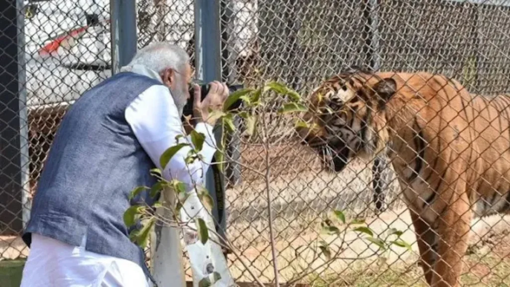 Nandanvan Zoo Timings Ticket Price