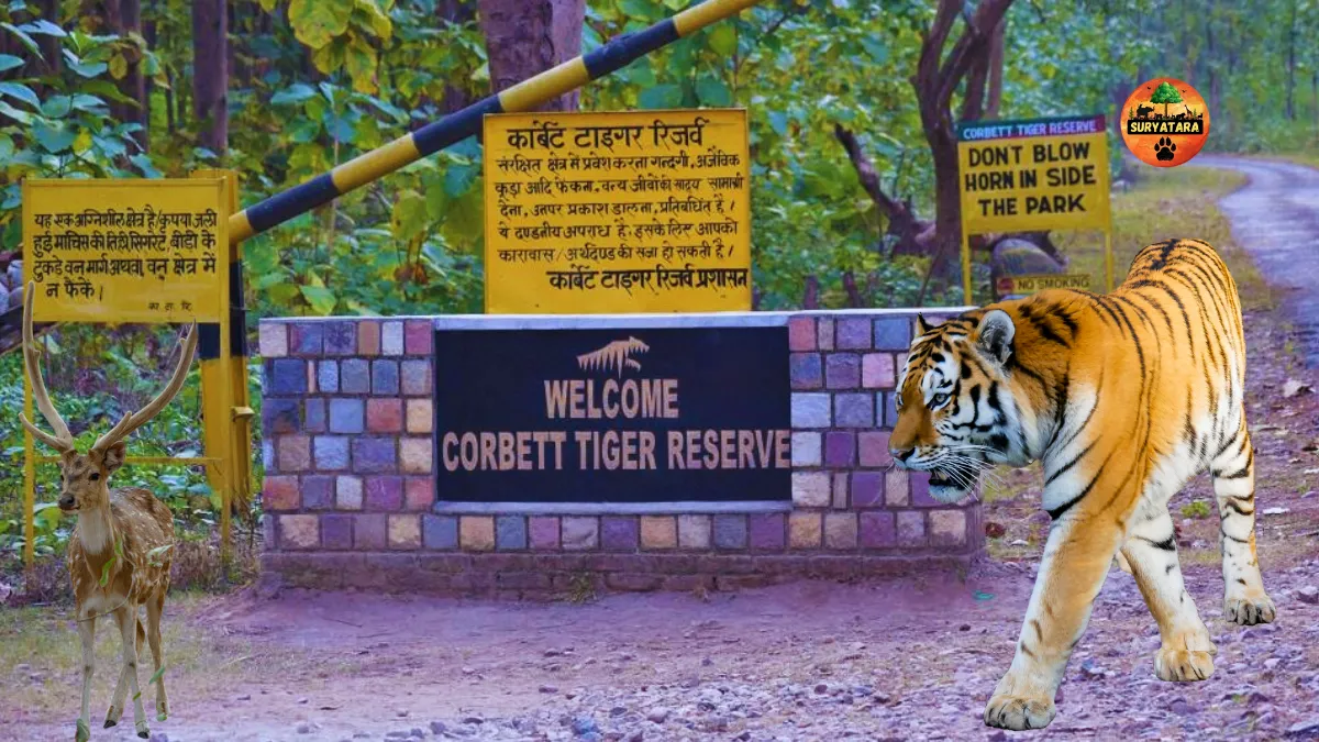 Jim Corbett National Park Ticket Price
