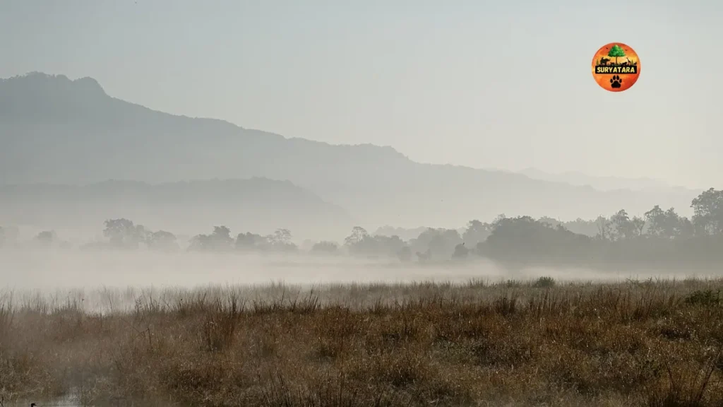 Jim Corbett National Park Ticket Price